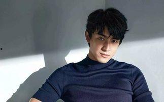 娱乐圈爆料林更新,揭秘明星背后的故事  第2张